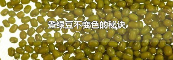 煮绿豆不变色的秘诀