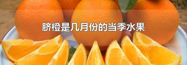 脐橙是几月份的当季水果