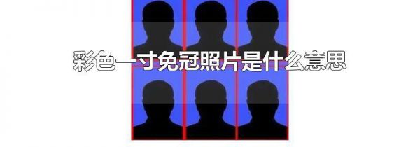彩色一寸免冠照片是什么意思