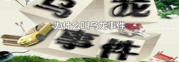 为什么叫乌龙事件