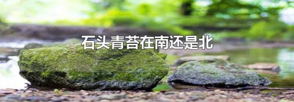 石头青苔在南还是北