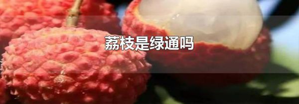 荔枝是绿通吗