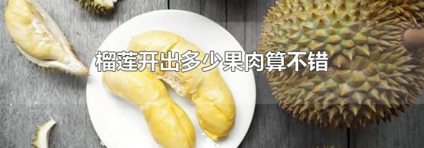榴莲开出多少果肉算不错
