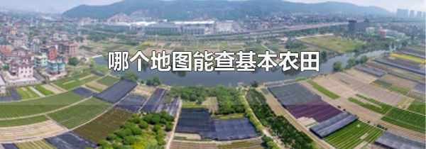 哪个地图能查基本农田