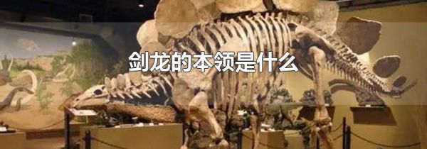 剑龙的本领是什么