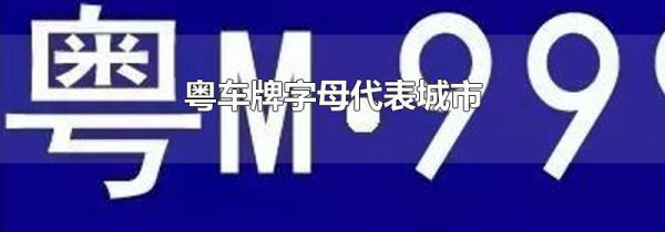 粤车牌字母代表城市