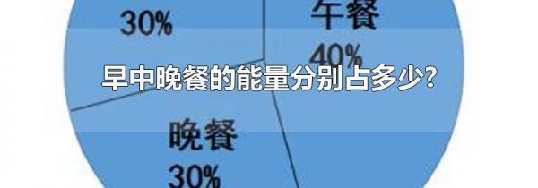 早中晚餐的能量分别占多少?