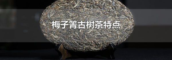 梅子箐古树茶特点