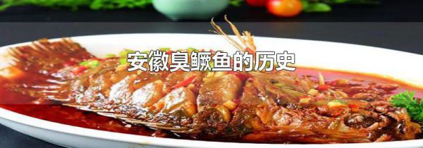 安徽臭鳜鱼的历史