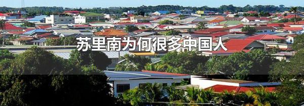 苏里南为何很多中国人