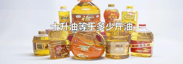 十升油等于多少斤油