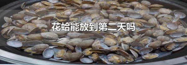 花蛤能放到第二天吗