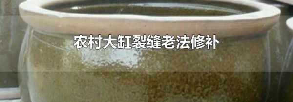 农村大缸裂缝老法修补