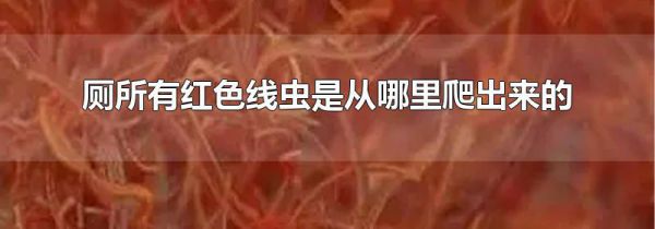 厕所有红色线虫是从哪里爬出来的