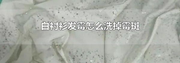白衬衫发霉怎么洗掉霉斑