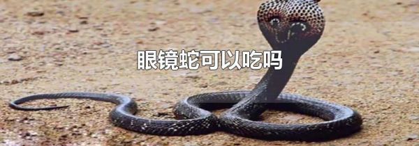 眼镜蛇可以吃吗