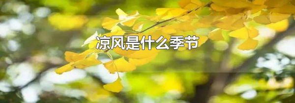 凉风是什么季节