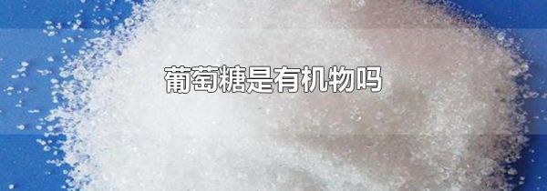 葡萄糖是有机物吗
