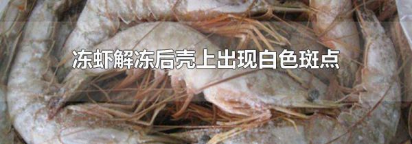 冻虾解冻后壳上出现白色斑点
