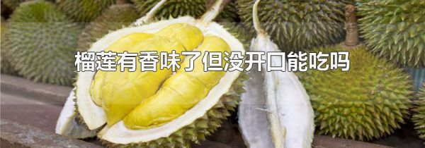 榴莲有香味了但没开口能吃吗