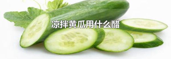 凉拌黄瓜用什么醋