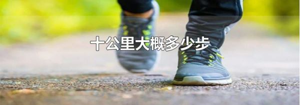 十公里大概多少步