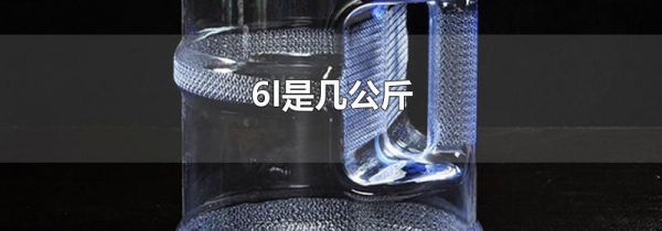 6l是几公斤