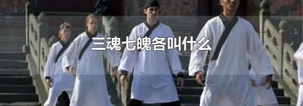 三魂七魄各叫什么