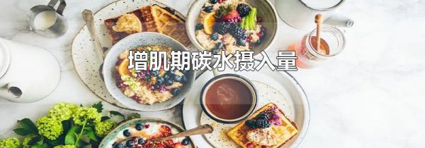 增肌期碳水摄入量
