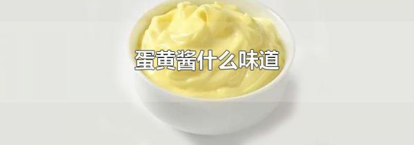 蛋黄酱什么味道