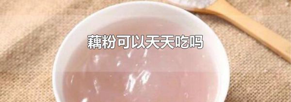 藕粉可以天天吃吗
