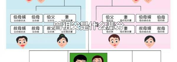 曾祖父是什么辈分