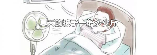 夏天的被子一般多少斤