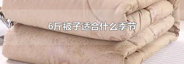 6斤被子适合什么季节