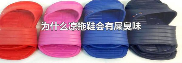 为什么凉拖鞋会有屎臭味