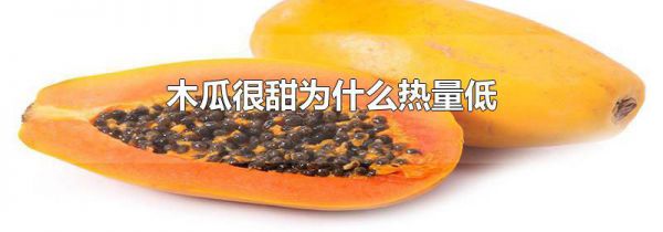 木瓜很甜为什么热量低