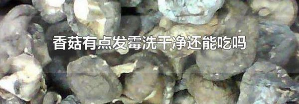 香菇有点发霉洗干净还能吃吗
