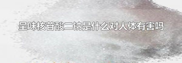 呈味核苷酸二钠是什么对人体有害吗