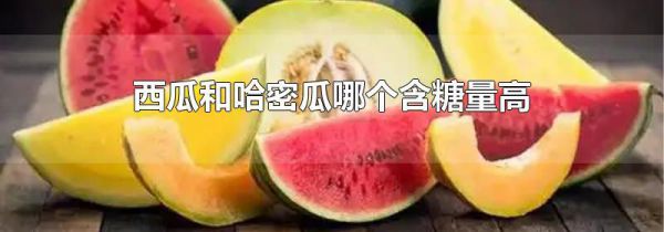 西瓜和哈密瓜哪个含糖量高