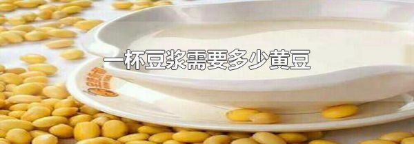 一杯豆浆需要多少黄豆