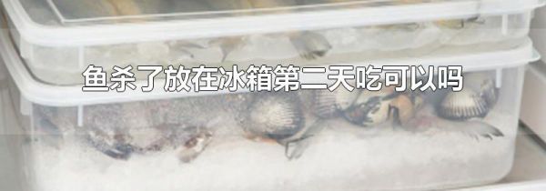 鱼杀了放在冰箱第二天吃可以吗