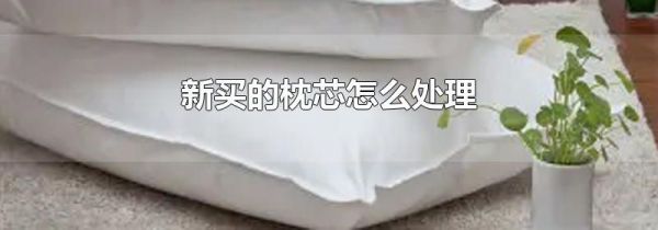 新买的枕芯怎么处理