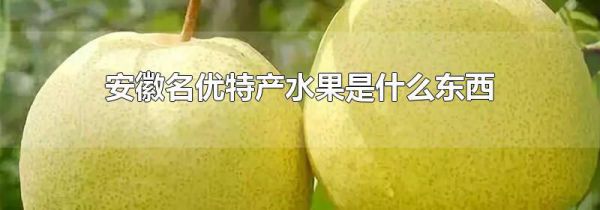 安徽名优特产水果是什么东西