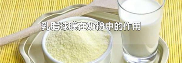 乳脂球膜在奶粉中的作用