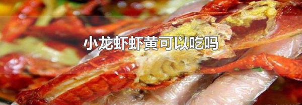 小龙虾虾黄可以吃吗