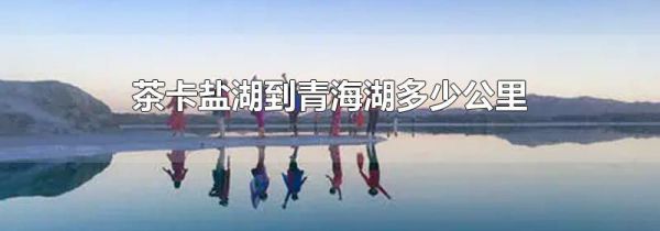 茶卡盐湖到青海湖多少公里