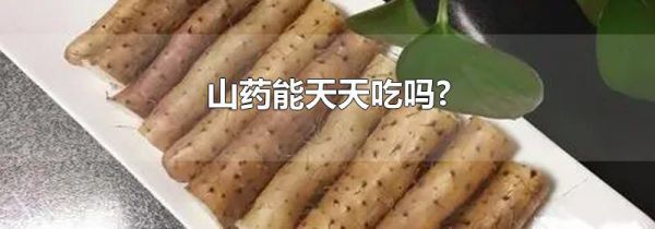山药能天天吃吗?