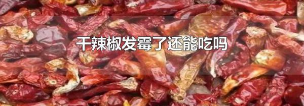 干辣椒发霉了还能吃吗
