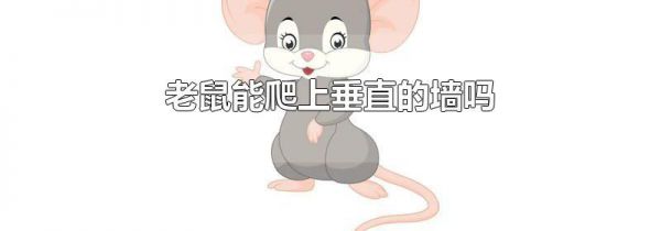 老鼠能爬上垂直的墙吗