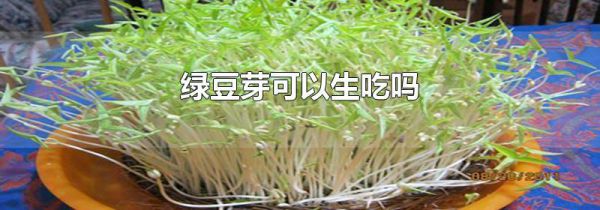 绿豆芽可以生吃吗